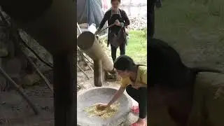 Crushing grains efficiently for better powder consistency