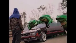 REIGN - GREEN FROG