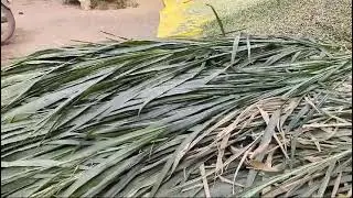 Double blower Chaff cutter machine with Half round 2 blades