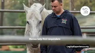 A Program that Helps Humans via Horses