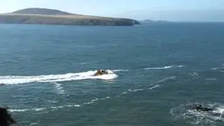 'Wet & Wild' Jet Boat Trip Coming Home (Venture Jet, St Justinian, Pembrokeshire)