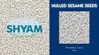 Hulled sesame Seed Video