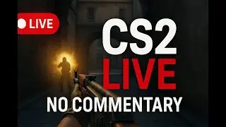 CS2 LIVE 🔴 | Insane Aim Session | No Commentary | Ranked Grind