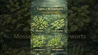 Bryophyte 💥 ✅ IMPORTANT FOR NEET #neetpataka  #jee #neet #NEET #NEET2026