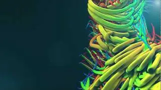 Trapcode Particular 2 Experiments - 05 - Crazy Parrot