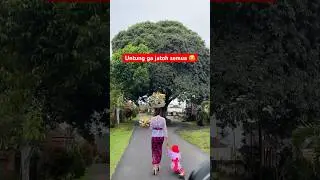 😂 #bali #baliisland #balineseculture #balineseceremony #hinduism #taksubali #ajegbali #budayabali