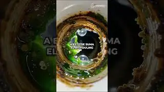 &iexcl;El AGUA puede DESTRUIR tu sistema de enfriamiento!
