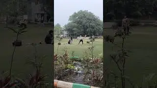 #nature #beatifulnature #youtube #shortsfeed #shorts #attraction #beautiful #garden #amazing #views