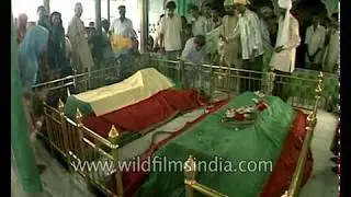 Amroha Shah Wilayat dargah where scorpions never sting, Uttar Pradesh