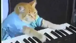 Keyboard Cat & Russian Plane Crash