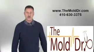 Can I paint over mold?