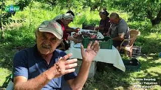 İbrahim Sarpdağ - Kiraz Bah&ccedil;esi  (Isparta/Yaka&ouml;ren)
