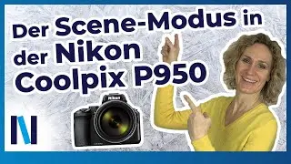 Nikon Coolpix P950: Automatik-Programm oder Scene-Modus?