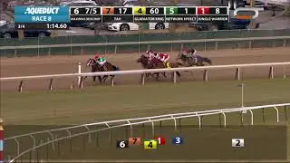 Maximus Mischief - 2018 - The Remsen Stakes