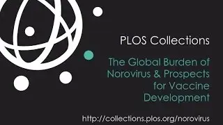 The Global Burden of Norovirus & Prospects for Vaccine Development