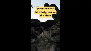 Dinosaur killer left footprints on the Moon #science #shorts #sciencekudi #research #study #dinosaur