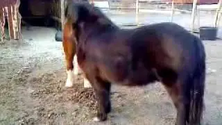 MOV01291