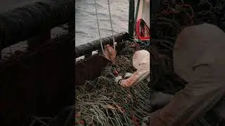 The grind is real&hellip; #commercialfishing #fishing #fish