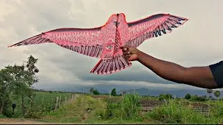 ARMANDO Y VOLANDO COMETA ÁGUILA
