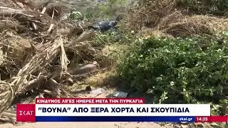 Αυτοψία ΣΚΑΪ σε Πόρτο Ράφτη και Παλαιά Φώκαια: Έπιπλα, σκουπίδια και ξερόχορτα - Αγωνία των κατοίκων