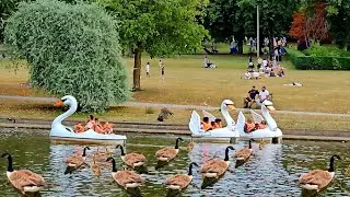 Geese and ducks in the lake at cannon Hill Park Edgbaston Birmingham