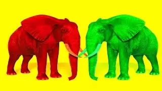 Elephant Animation song || Different colors of Elephant ||