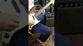 1971/1972 Fender Mustang!