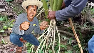 Takway | How to cook Raw Taro Shoots | Taro runner shoots | Ginataang takway