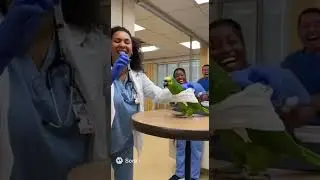 the ParrotLarry's vet visit. Funny parrot #funny #talkingparrot #parrot  #trendingshorts  #pets