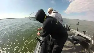 Warrior Boats Pro Justin Schneider Lands Giant Devils Lake Walleye