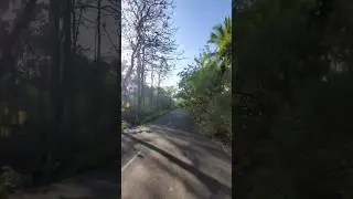 goa mollem wildlife Sanctuary road 💚💚💚💚💚 #shortvideo #shorts #shortsfeed #shortsyoutube #goa #india