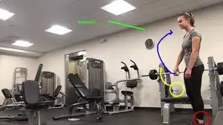 Analysis of Skills Using Movement Principles/Phases of Movement Assignment Throwing Annotations
