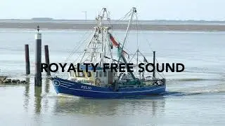 Echoing Footsteps - Royalty Free Sound Effect