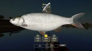 RF4 - Trophy Asp - 8,976kg - New trolling route