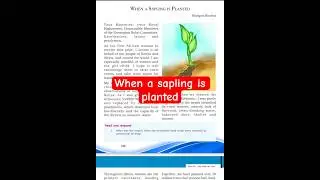 When a sapling is planted #plustwoenglish 