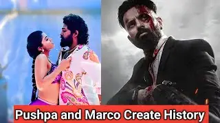 Box office collection of pushpa 2 Marco Max Baby John Collection World wide collection pushpa 2