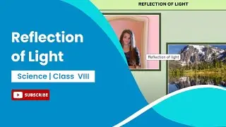 Reflection of Light | Light | Class 8