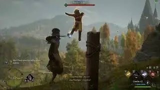 Hogwarts Legacy - Yeeting a enemy off the cliff