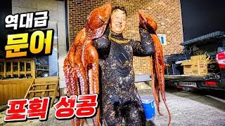 300km 운전해서 사람만한 문어를 잡아서 먹어보자