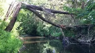 3 minutes of Northern Rivers