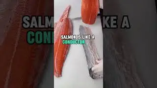 What happens to your Body if you Eat Salmon everyday #healthyplanet