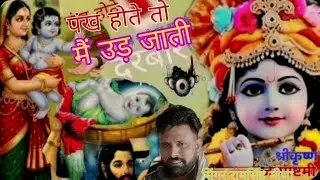 पंख जो होते मैं उड़ जाति।। नंद बाबा के द्वारा,, कृष्ण जन्माष्टमी भजन।। सिंगर रामसिंह मीणा बिशनगढ़