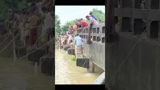 Net Fishing in Heavy Rain | Full video⬇️  #fishingvideo