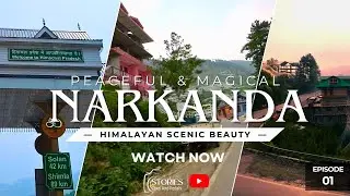 Narkanda, Himachal Pradesh | Hidden Himalayan Beauty & Epic Apple Orchards  #himachalpradesh