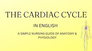 THE CARDIAC CYCLE ( ENGLISH)