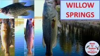 WILLOW SPRINGS LAKE FISHING - 5 SPECIES - 40+ FISH! Largemouth - Trout - Smallmouth Bass- Crappie
