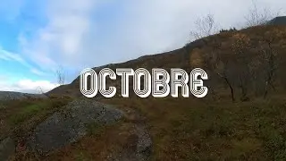 Octobre (Francis Cabrel) - Reprise