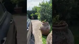 Montignoso