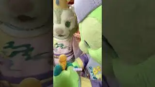 Gelatoni&rsquo;s joyful interaction with tourists~