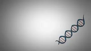 Nuclei acid  (DNA and RNA)